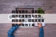 网络世界中,获取图片插件的重要性与优势,网络插件,获取高质量图片的有效工具 网络世界中,获取图片插件的重要性与优势,网络插件,获取高质量图片的有效工具