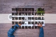 特斯拉流量网站，揭秘新能源汽车巨头的线上营销策略，特斯拉线上营销揭秘，新能源汽车巨头流量策略全解析