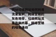 揭秘垃圾网站如何利用流量盈利，网络营销的灰色地带，垃圾网站流量盈利内幕，网络营销的暗流涌动