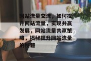 网站流量交流，如何提升网站流量，实现共赢发展，网站流量共赢策略，揭秘提升网站流量的秘籍