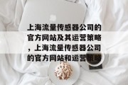 上海流量传感器公司的官方网站及其运营策略，上海流量传感器公司的官方网站和运营策略