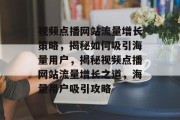 视频点播网站流量增长策略，揭秘如何吸引海量用户，揭秘视频点播网站流量增长之道，海量用户吸引攻略