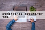 淘宝种草怎么提升流量（淘宝店铺怎么种草才有流量）