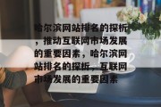 哈尔滨网站排名的探析，推动互联网市场发展的重要因素，哈尔滨网站排名的探析，互联网市场发展的重要因素