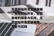东莞网站开发营销策略，东莞网站开发，营销策略的探索与实践，东莞网站开发营销策略，探索与实践