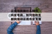 云南农民做什么赚钱,农业电商,如何借助互联网推动云南农业发展? 云南农民做什么赚钱,农业电商,如何借助互联网推动云南农业发展?