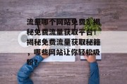 流量哪个网站免费？揭秘免费流量获取平台！揭秘免费流量获取秘籍，哪些网站让你轻松吸粉？