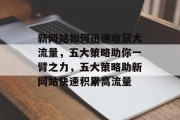 新网站如何迅速收获大流量，五大策略助你一臂之力，五大策略助新网站快速积累高流量