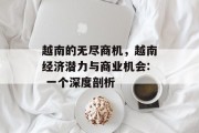 越南的无尽商机,越南经济潜力与商业机会: 一个深度剖析
