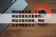 揭秘网站流量，什么是网站流量及其重要性，网站流量的秘密，揭秘其重要性及定义