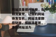 网站流量提升攻略，告别流量荒，让你的网站焕发生机，网站流量翻倍秘籍，摆脱流量荒，重振网站活力