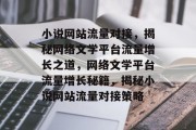 小说网站流量对接，揭秘网络文学平台流量增长之道，网络文学平台流量增长秘籍，揭秘小说网站流量对接策略