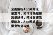全面解析App网站流量查询，如何准确把握流量脉搏，精准掌握流量动态，App网站流量查询全攻略