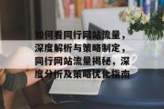 如何看同行网站流量，深度解析与策略制定，同行网站流量揭秘，深度分析及策略优化指南