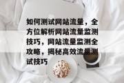 如何测试网站流量，全方位解析网站流量监测技巧，网站流量监测全攻略，揭秘高效流量测试技巧