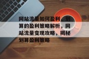 网站流量如何盈利，划算的盈利策略解析，网站流量变现攻略，揭秘划算盈利策略