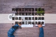 揭秘独立网站流量查询，如何精准把握网站流量动态，精准流量洞察，揭秘独立网站流量查询技巧