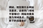 揭秘，现在做什么网站流量高，这些热门领域不容错过！网站流量高潜力领域盘点，热门趋势下的流量金矿