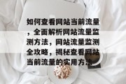 如何查看网站当前流量，全面解析网站流量监测方法，网站流量监测全攻略，揭秘查看网站当前流量的实用方法