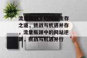 流量限制下的网站生存之道，挑战与机遇并存，流量瓶颈中的网站逆袭，挑战与机遇并行