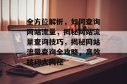 全方位解析，如何查询网站流量，揭秘网站流量查询技巧，揭秘网站流量查询全攻略，高效技巧大揭秘