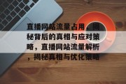 直播网站流量占用，揭秘背后的真相与应对策略，直播网站流量解析，揭秘真相与优化策略
