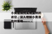 小类目如何实现盈利的途径，深入理解小类目盈利策略