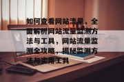 如何查看网站流量，全面解析网站流量监测方法与工具，网站流量监测全攻略，揭秘监测方法与实用工具