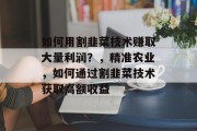 如何用割韭菜技术赚取大量利润?,精准农业,如何通过割韭菜技术获取高额收益 如何用割韭菜技术赚取大量利润?,精准农业,如何通过割韭菜技术获取高额收益