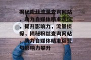揭秘粉丝流量查询网站，助力自媒体精准定位，提升影响力，流量侦探，揭秘粉丝查询网站，助力自媒体精准运营与影响力攀升