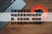 流量网站查询S，揭秘网站流量查询的秘密武器，流量侦探，揭秘网站流量查询的神秘利器