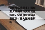 自营网站流量小？揭秘五大策略助你突破流量瓶颈，突破自营网站流量瓶颈，五大策略全解析