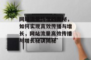 网站流量转发的奥秘，如何实现高效传播与增长，网站流量高效传播与增长秘诀揭秘