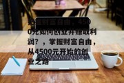 把握财富自由,4500元如何创业并赚取利润?,掌握财富自由,从4500元开始的创业之路 把握财富自由,4500元如何创业并赚取利润?,掌握财富自由,从4500元开始的创业之路