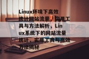 Linux环境下高效统计网站流量，实用工具与方法解析，Linux系统下的网站流量统计，实用工具与高效方法揭秘