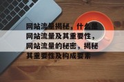 网站流量揭秘，什么是网站流量及其重要性，网站流量的秘密，揭秘其重要性及构成要素