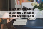 网站流量异常现象解析及应对策略，网站流量异常现象深度剖析与应对攻略