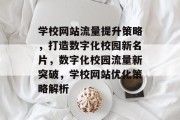 学校网站流量提升策略，打造数字化校园新名片，数字化校园流量新突破，学校网站优化策略解析
