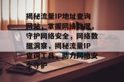揭秘流量IP地址查询网站，掌握网络数据，守护网络安全，网络数据洞察，揭秘流量IP查询工具，助力网络安全守护