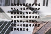 揭秘最专业的网站建设组织，打造卓越网络品牌新篇章，专业揭秘，卓越网络品牌建设领航者大起底，深度解析，卓越网络品牌建设领航者的专业奥秘