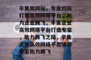 辛集做网站，专业团队打造高效网络平台，助力企业腾飞，辛集企业高效网络平台打造专家，助力腾飞之路，辛集企业高效网络平台建设专家助力腾飞
