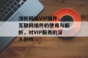 浅析网站VIP插件,互联网插件的使用与解析,对VIP服务的深入剖析 浅析网站VIP插件,互联网插件的使用与解析,对VIP服务的深入剖析