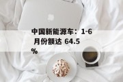 中国新能源车:1-6 月份额达 64.5% 中国新能源车:1-6 月份额达 64.5%