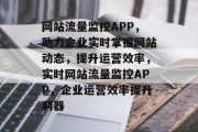 网站流量监控APP，助力企业实时掌握网站动态，提升运营效率，实时网站流量监控APP，企业运营效率提升利器