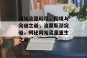 网站流量耗尽，困境与突破之道，流量瓶颈突破，揭秘网站流量重生之道