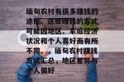 缅甸农村有很多赚钱的途径。这些赚钱的方式可能因地区、家庭经济状况和个人喜好而有所不同。,缅甸农村赚钱方式汇总,地区差异与个人偏好