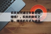 农民如何通过辛勤劳动赚钱?,农民的勤劳之路,赚钱的方式与途径 农民如何通过辛勤劳动赚钱?,农民的勤劳之路,赚钱的方式与途径