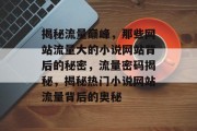 揭秘流量巅峰，那些网站流量大的小说网站背后的秘密，流量密码揭秘，揭秘热门小说网站流量背后的奥秘