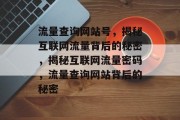 流量查询网站号，揭秘互联网流量背后的秘密，揭秘互联网流量密码，流量查询网站背后的秘密