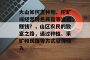 大山如何靠种地、挖矿或经营特色民宿等途径赚钱?,山区农民的致富之路,通过种植、采矿和民宿等方式获得收入 大山如何靠种地、挖矿或经营特色民宿等途径赚钱?,山区农民的致富之路,通过种植、采矿和民宿等方式获得收入